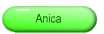 Anica